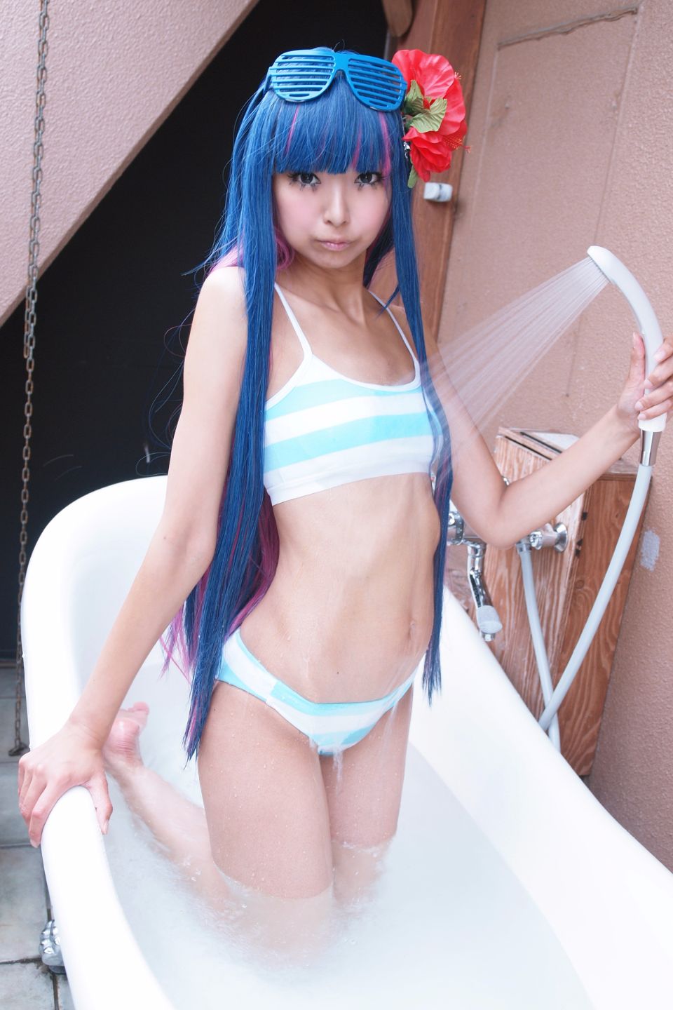 Shimapan và thả giống