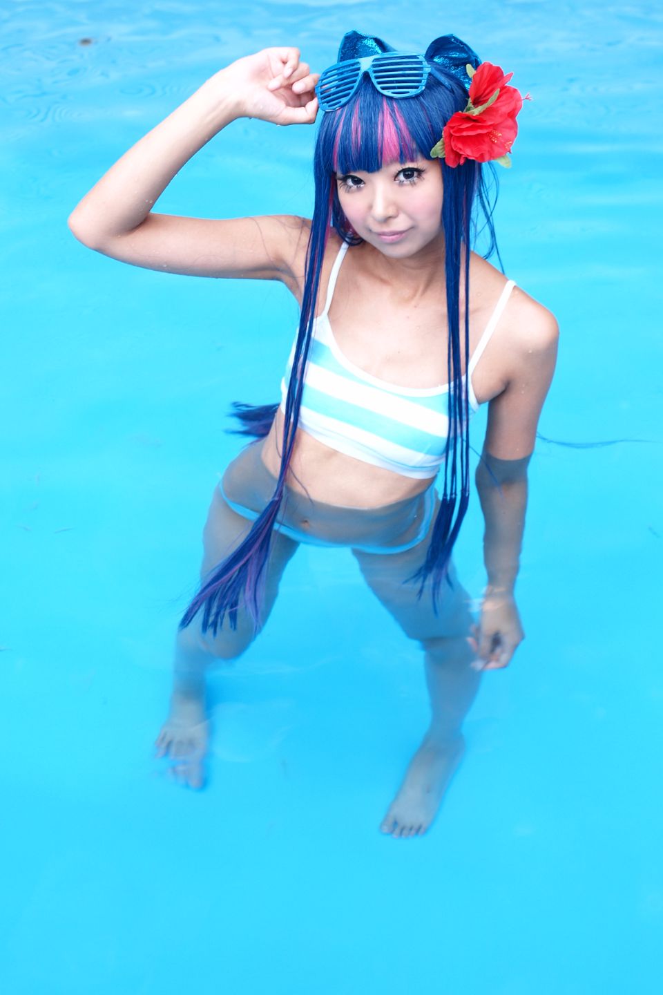 Shimapan và thả giống