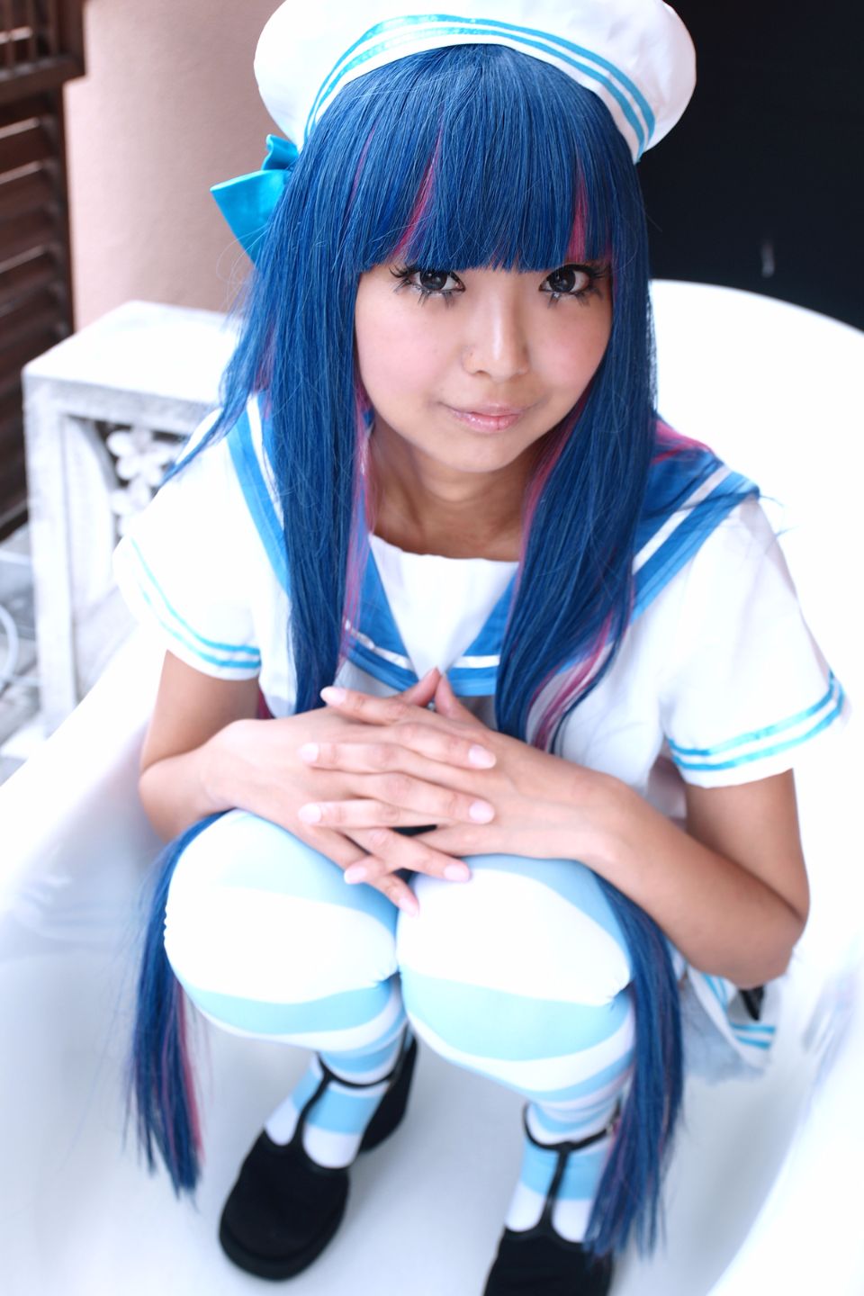 Shimapan và thả giống