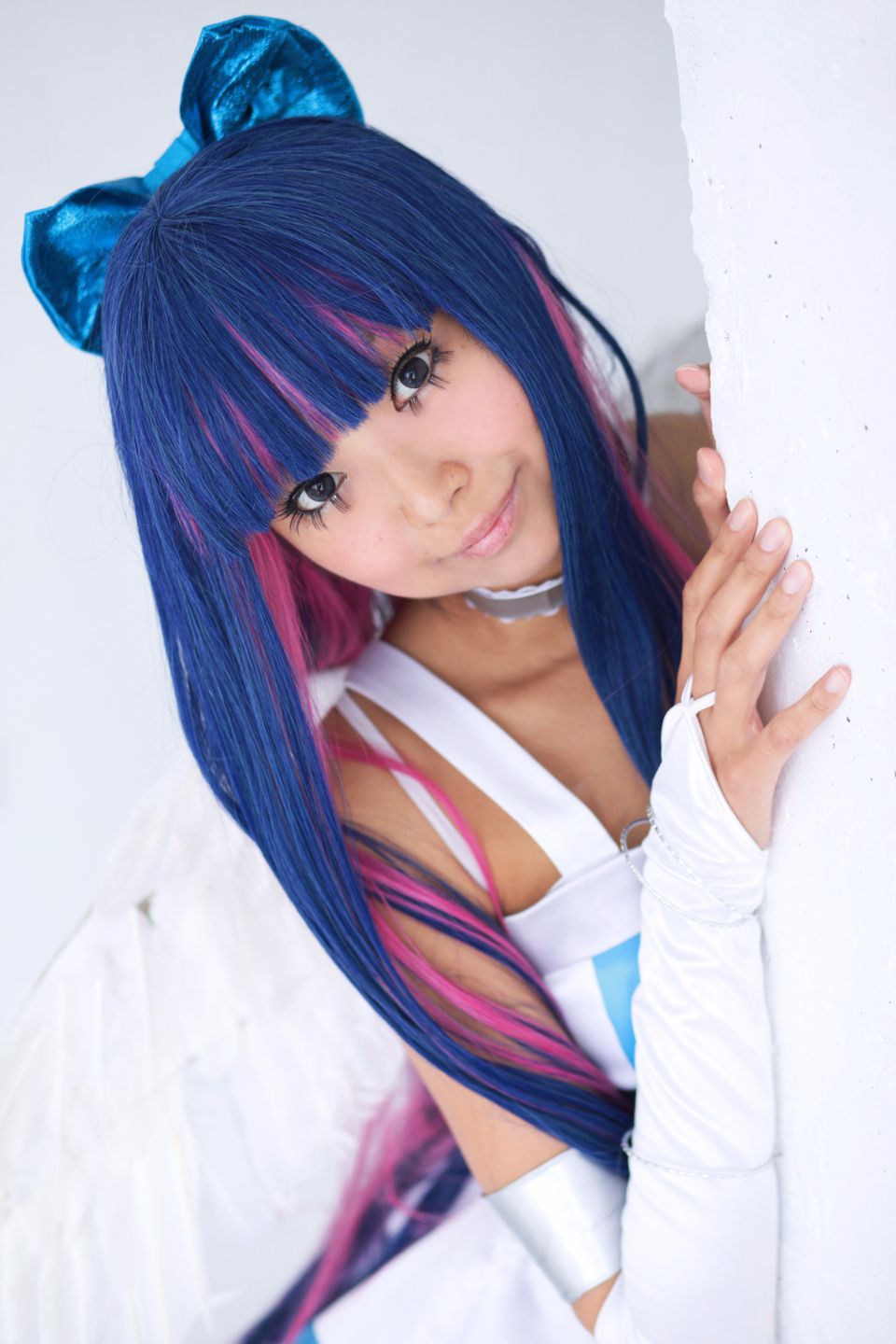 Shimapan và thả giống