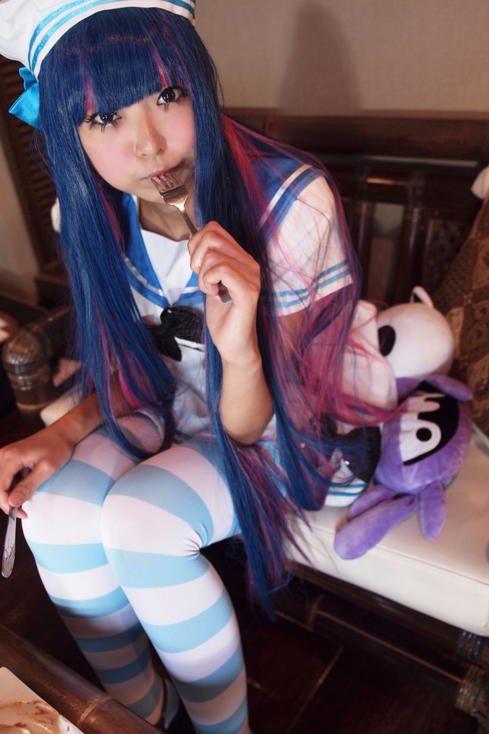 Shimapan và thả giống