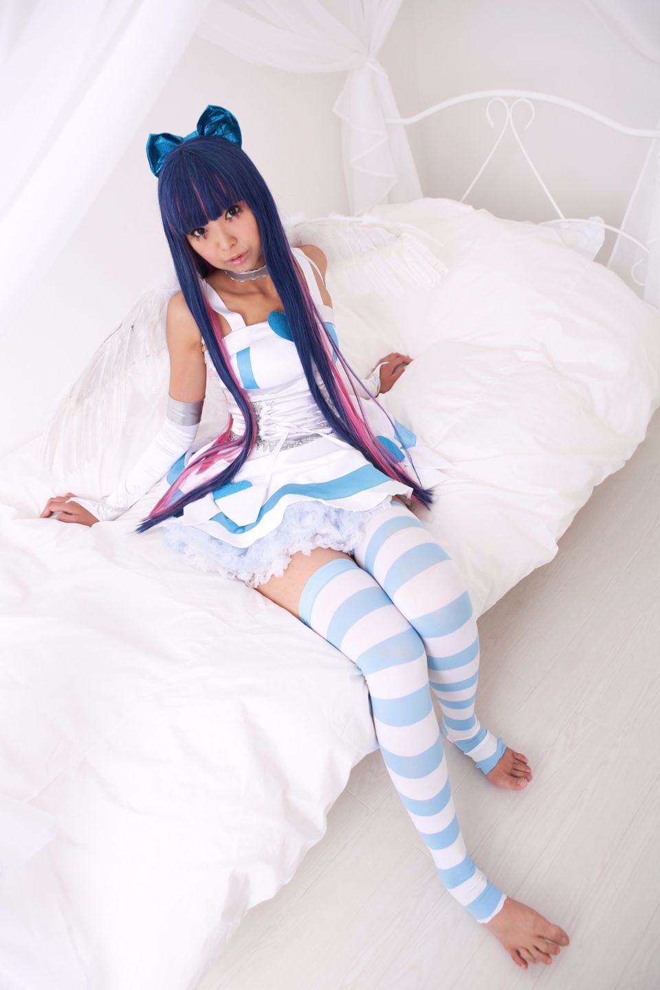 Shimapan và thả giống