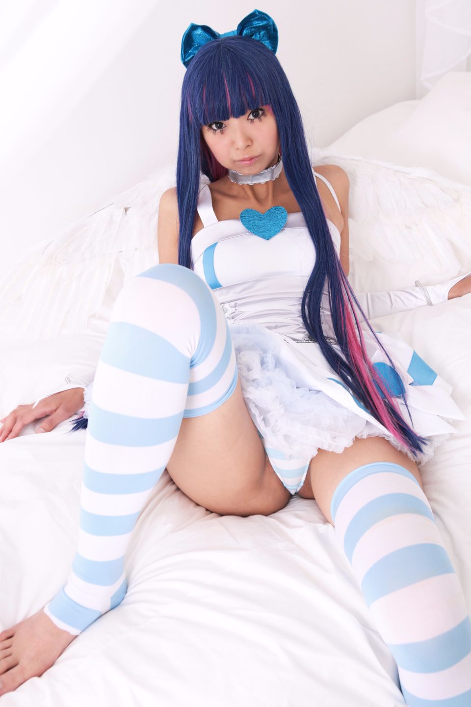 Shimapan và thả giống