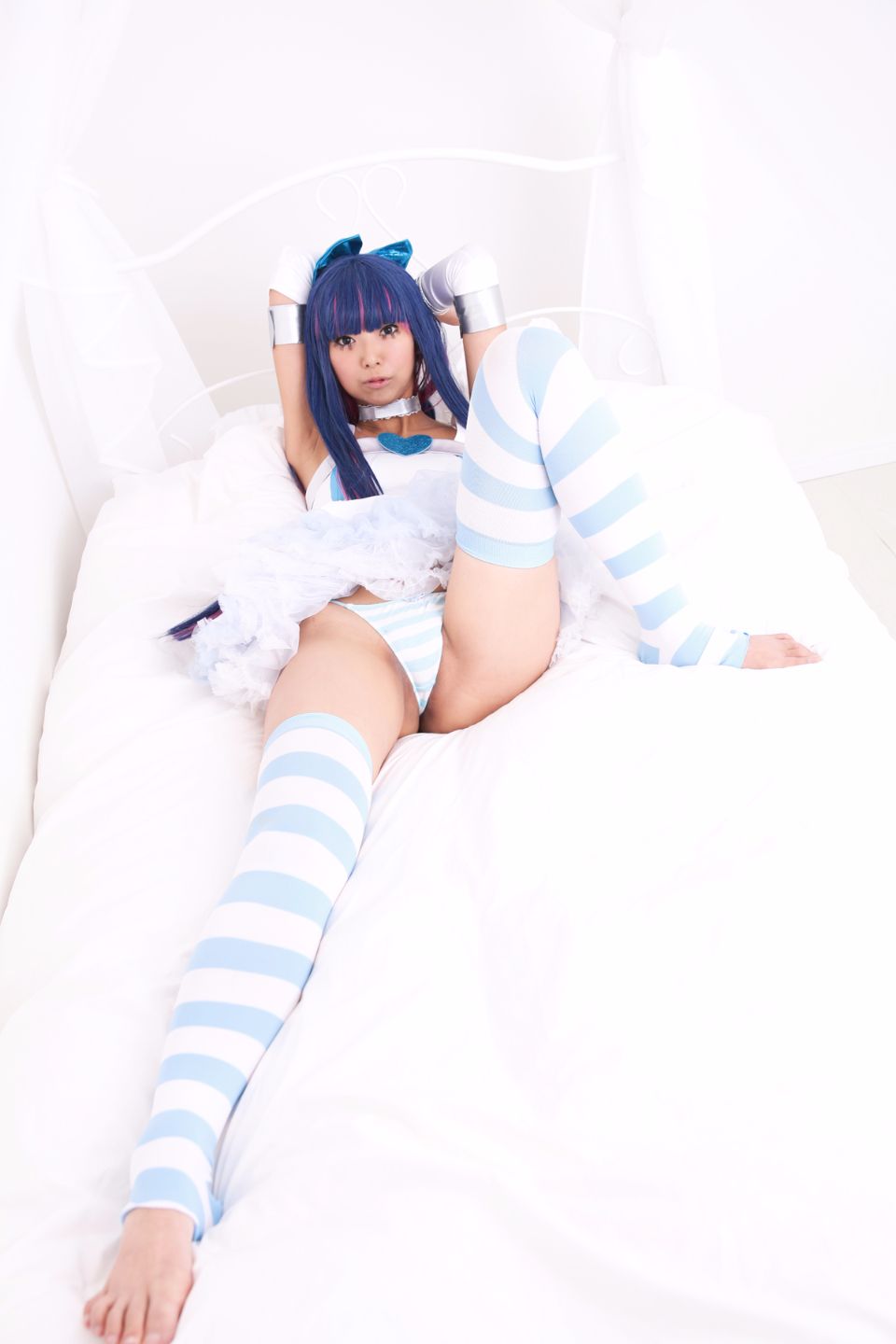 Shimapan và thả giống