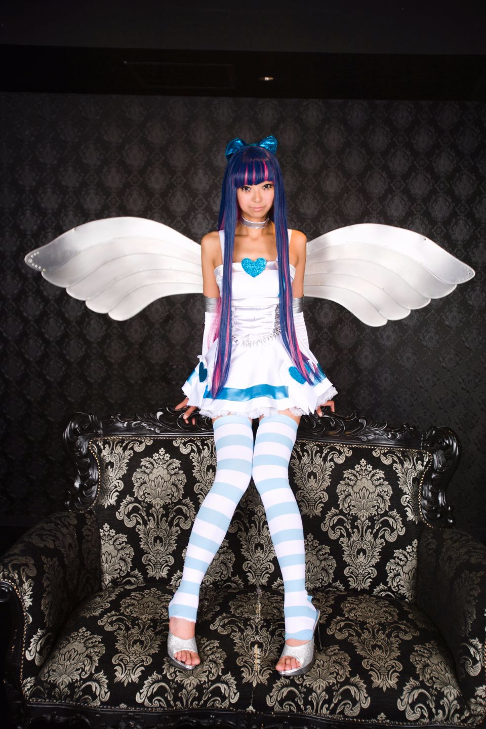 Shimapan và thả giống