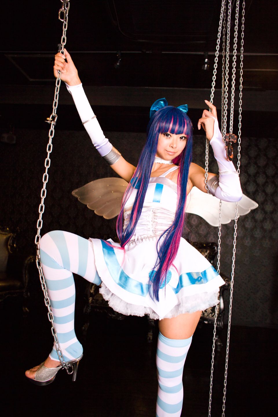 Shimapan và thả giống