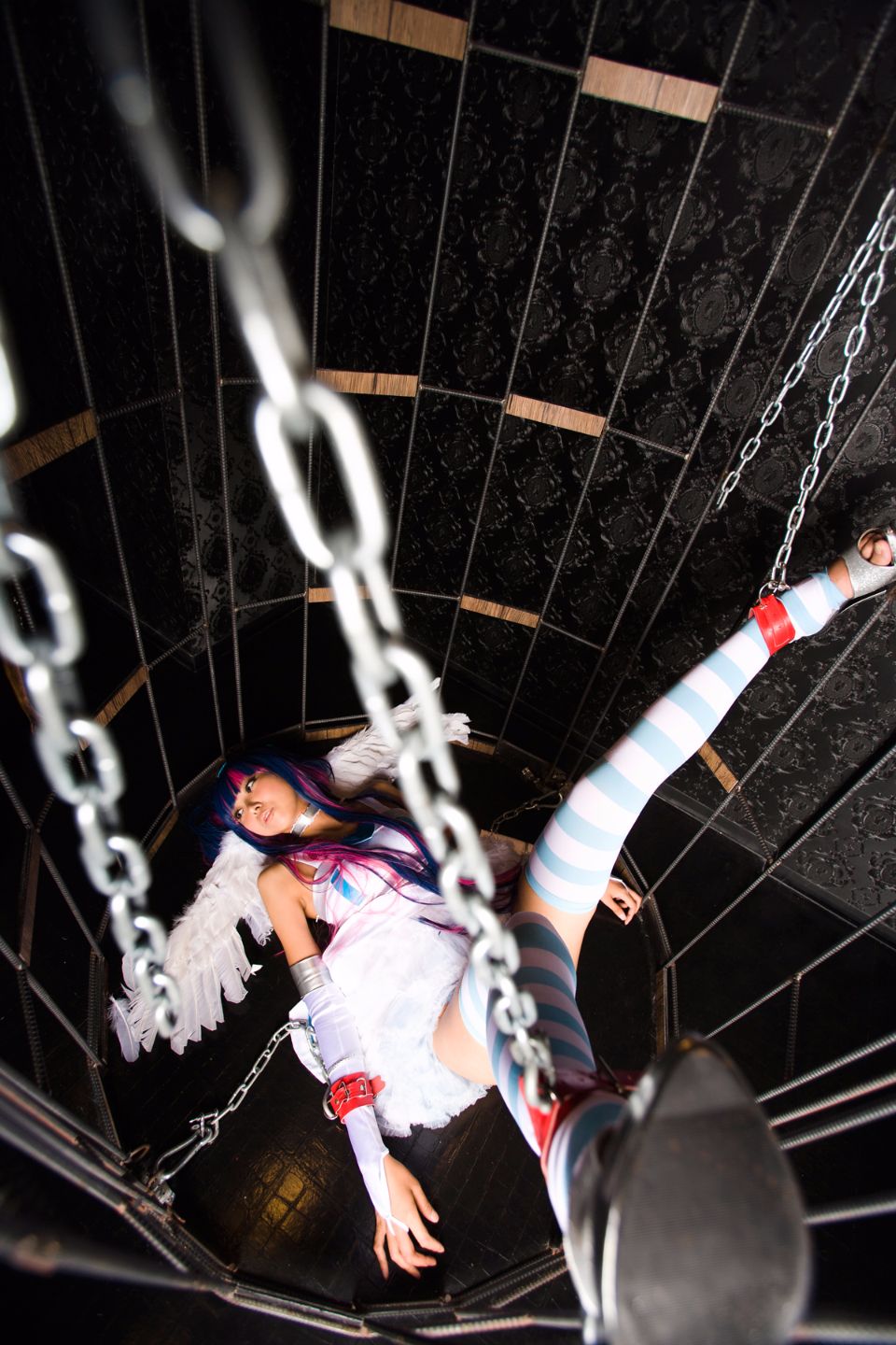 Shimapan và thả giống