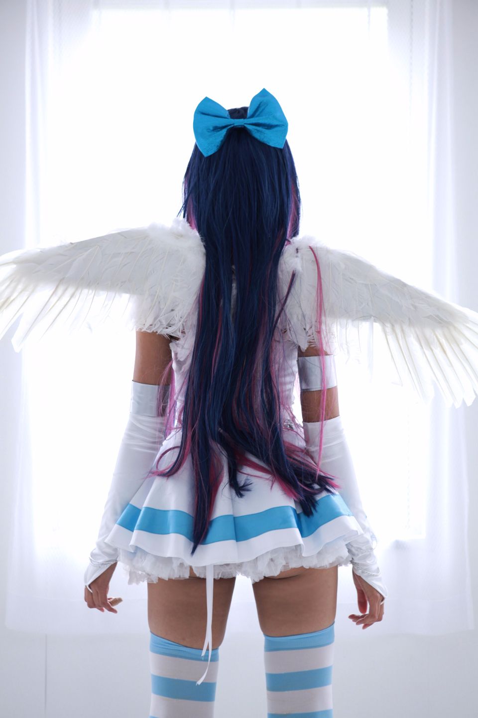 Shimapan và thả giống