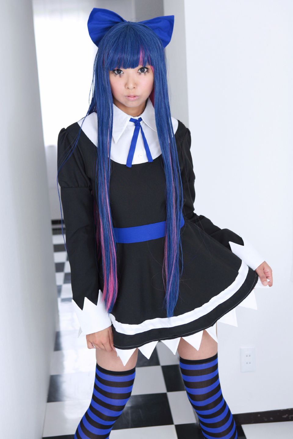 Shimapan và thả giống