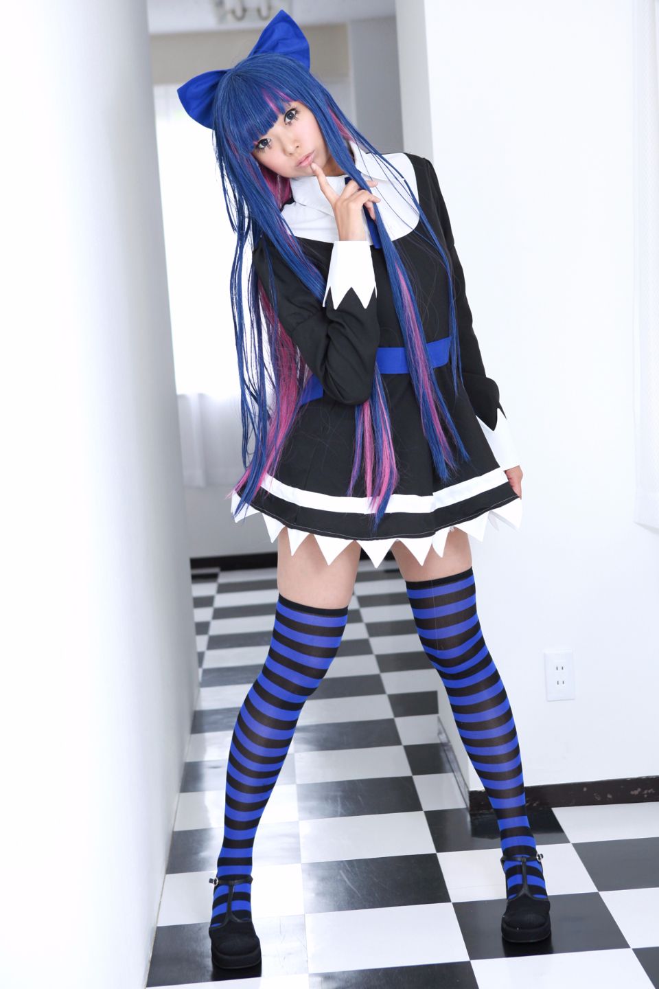 Shimapan và thả giống