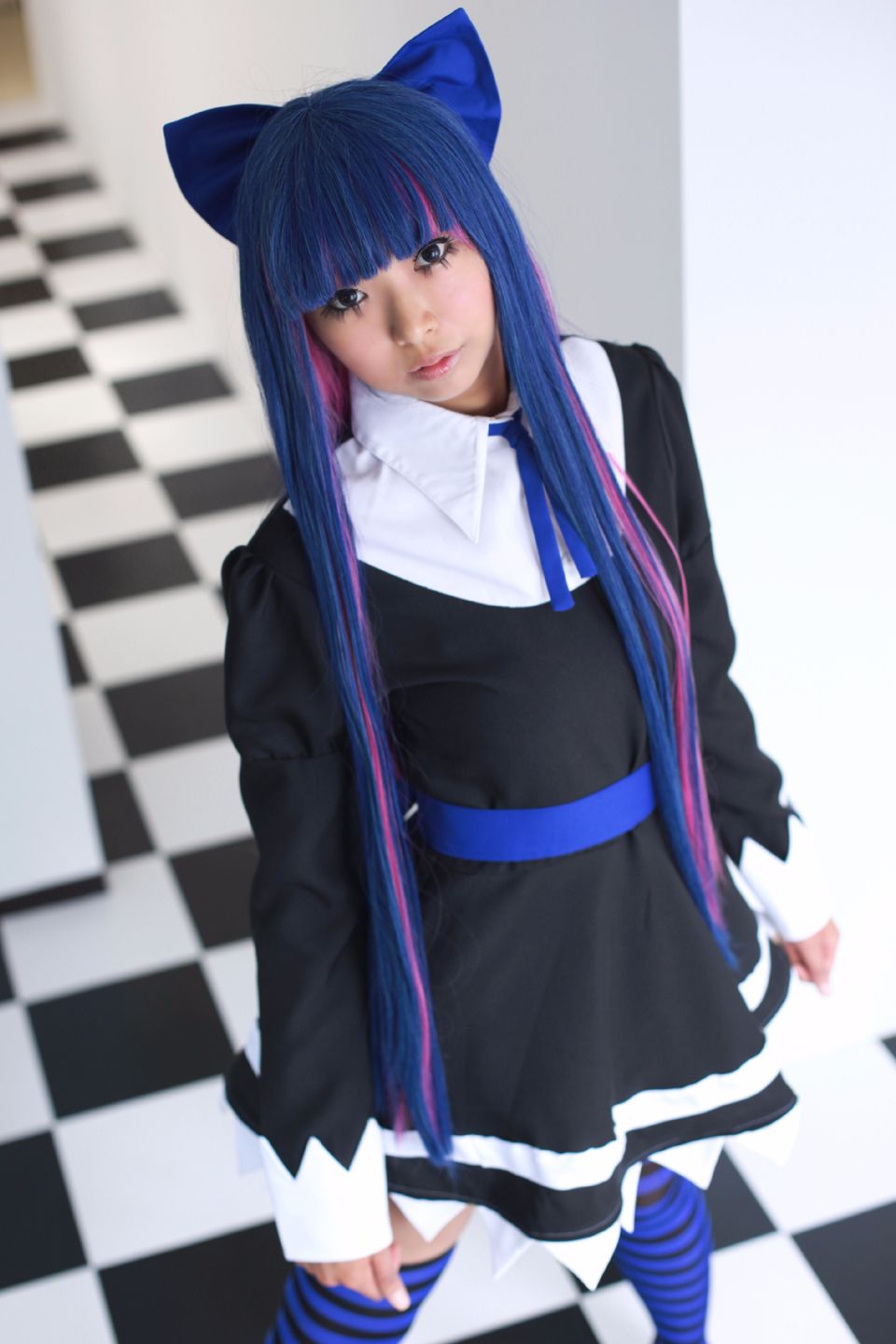 Shimapan và thả giống