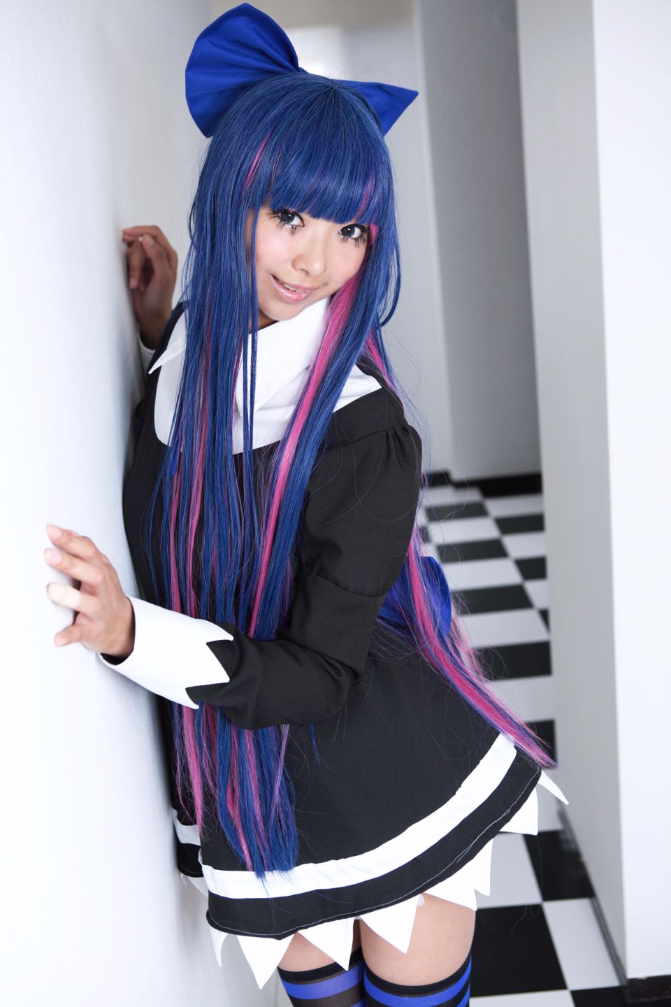 Shimapan và thả giống