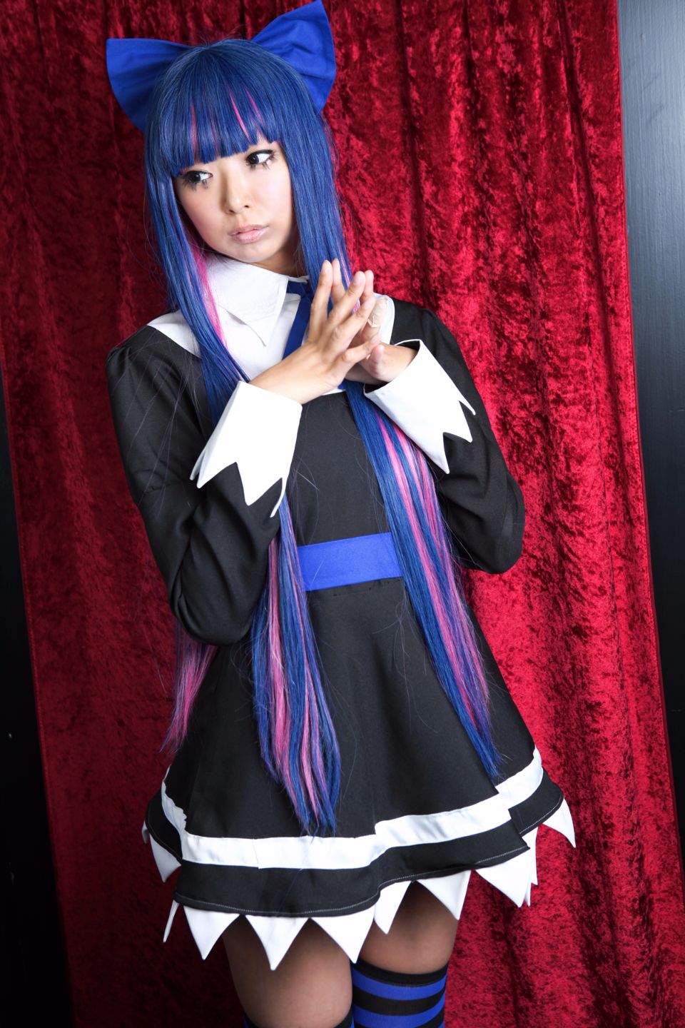 Shimapan và thả giống