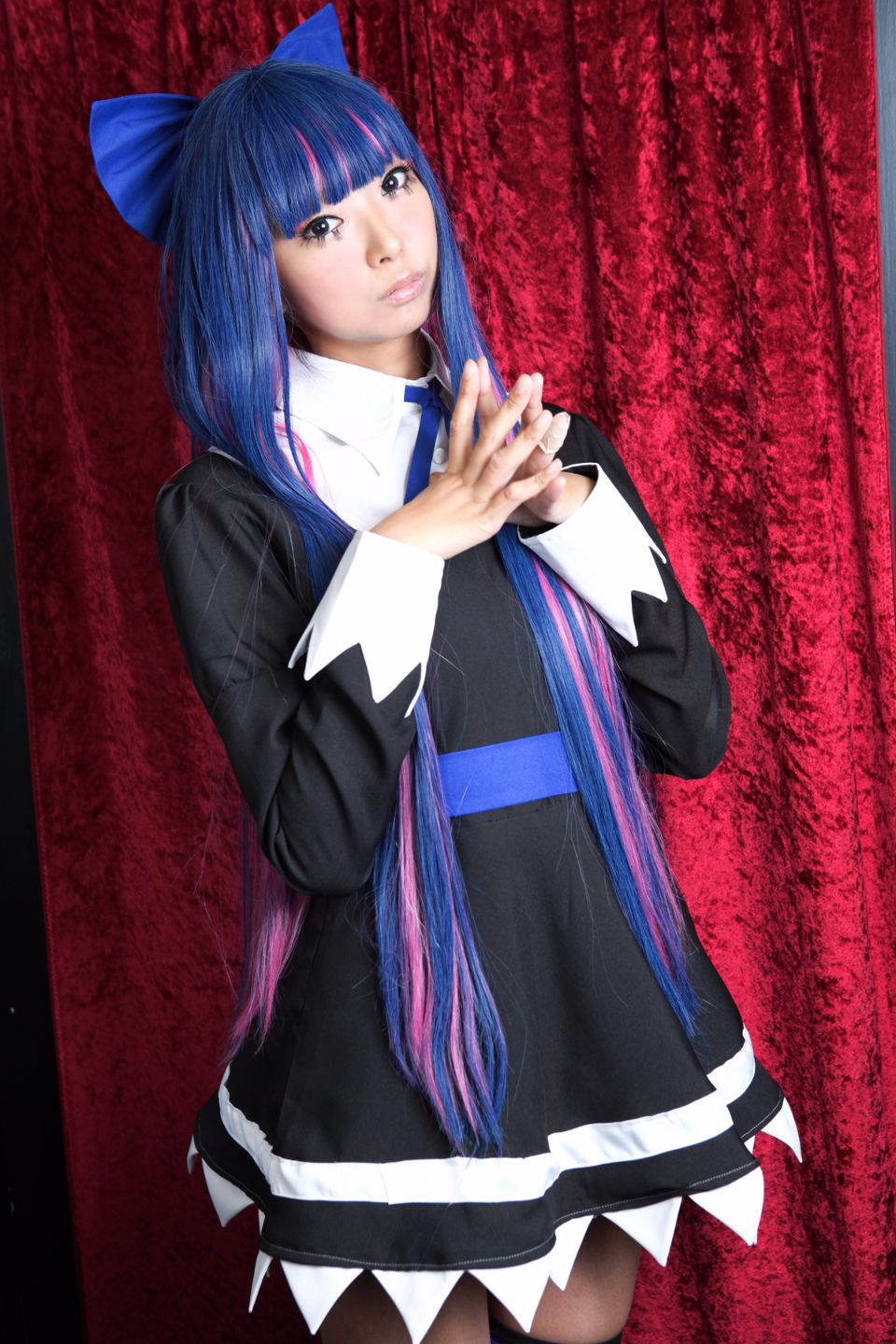 Shimapan và thả giống