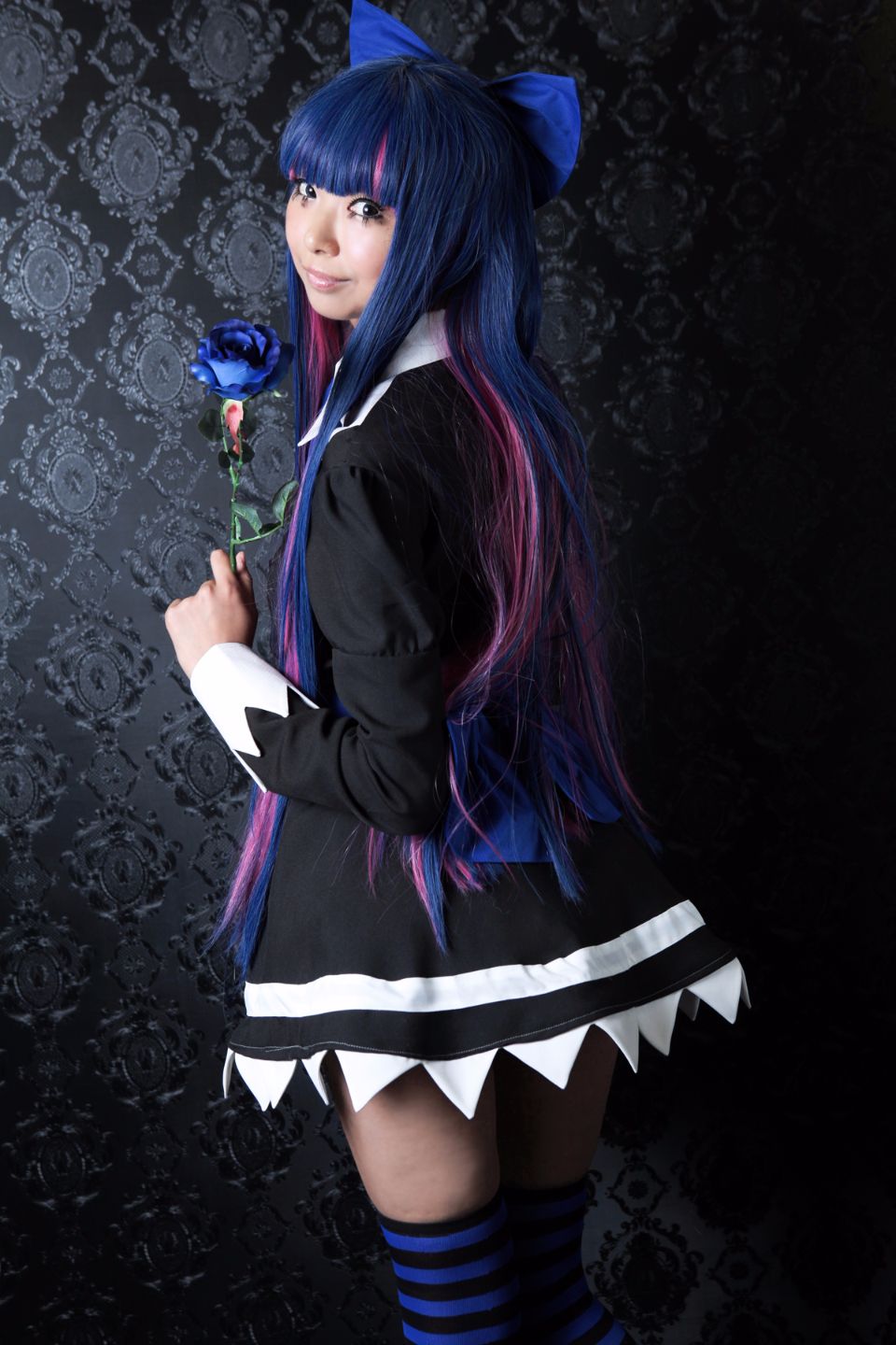 Shimapan và thả giống