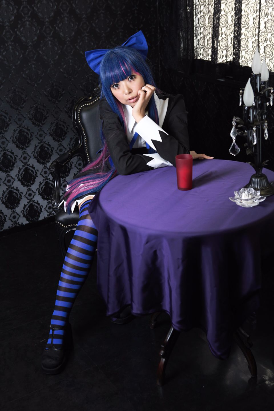 Shimapan và thả giống