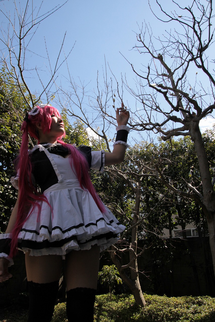 [Nếu tôi dám] bạn thân của Nữ hoàng