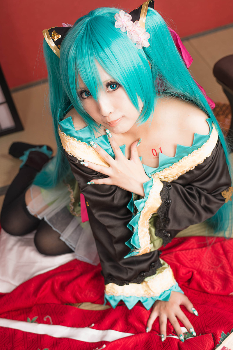 [nụ cười biết ơn] Miku cay đắng