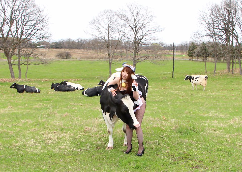 Một bộ sưu tập gồm 5 rinrin