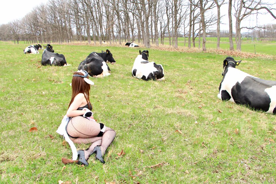 Một bộ sưu tập gồm 5 rinrin