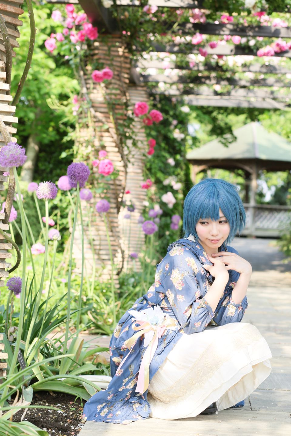 Thủy thủ Mercury Rom