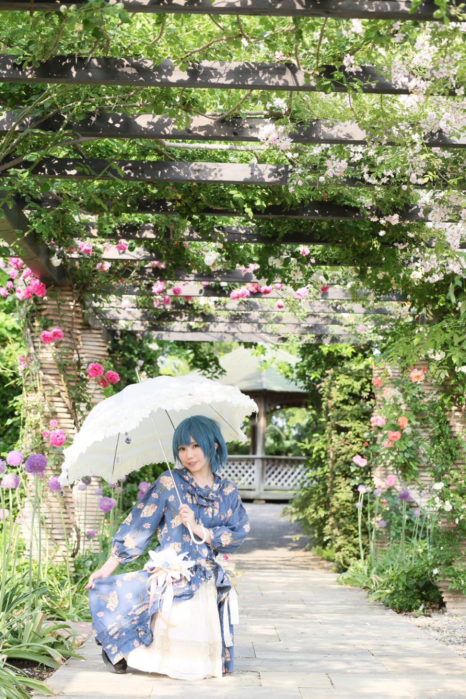 Thủy thủ Mercury Rom