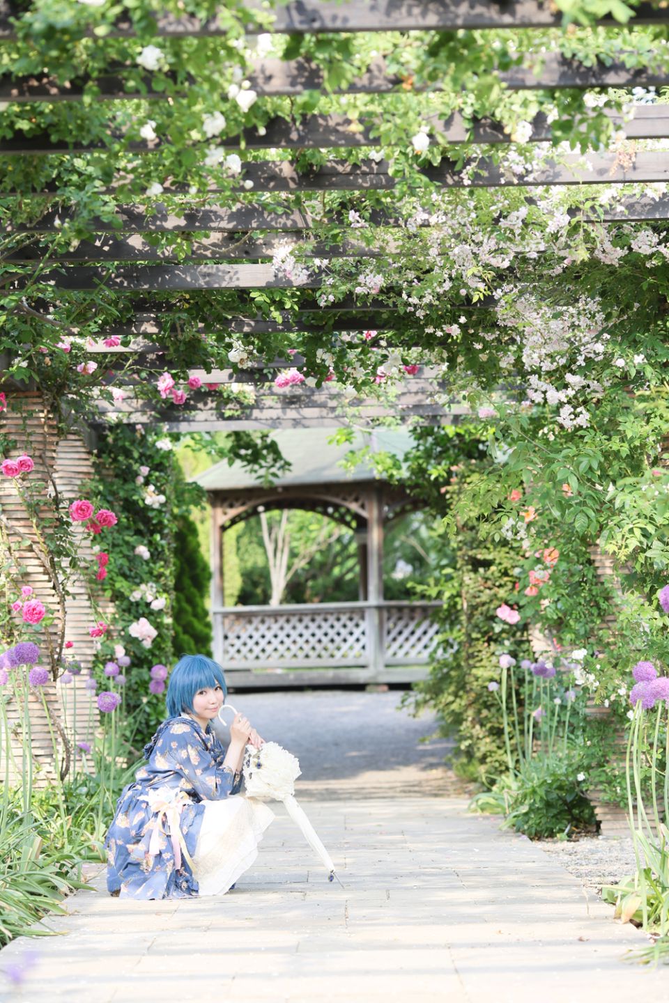 Thủy thủ Mercury Rom