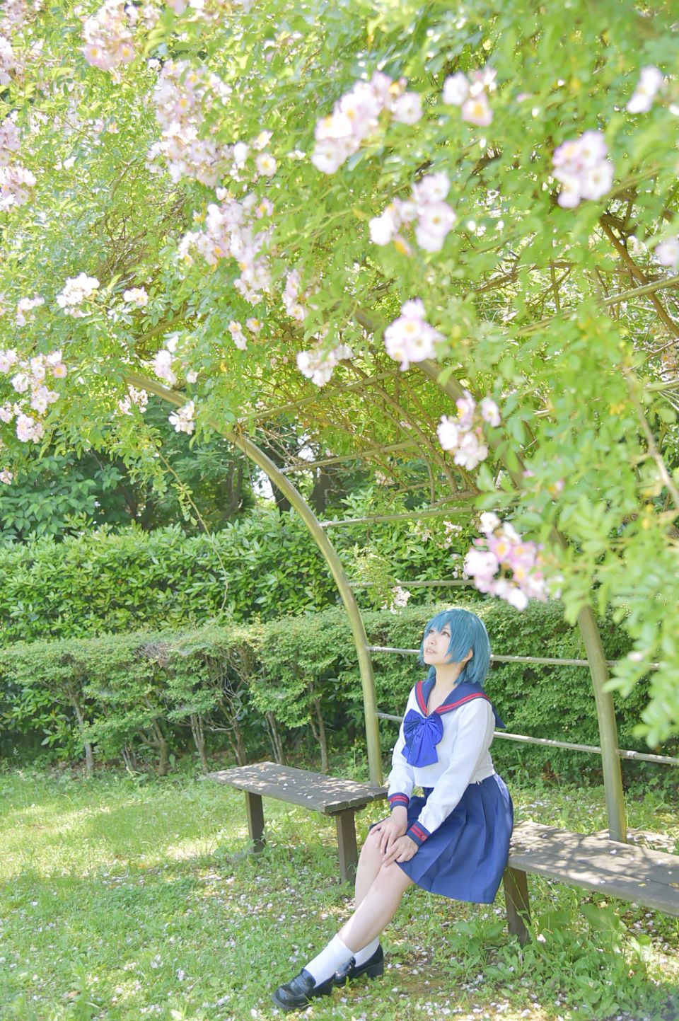 Thủy thủ Mercury Rom