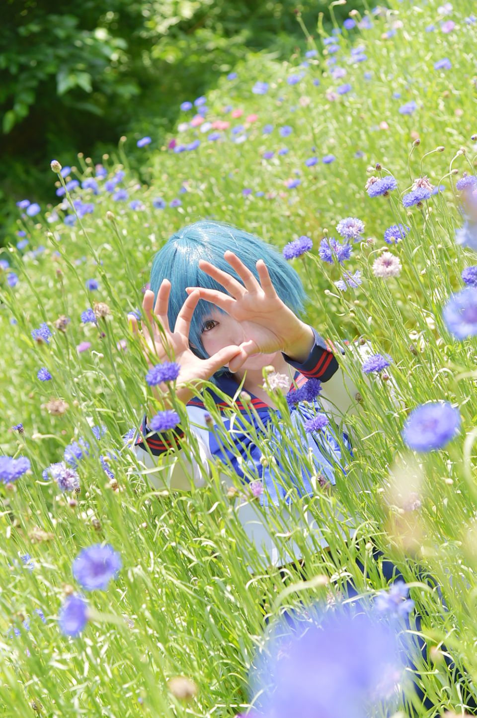 Thủy thủ Mercury Rom