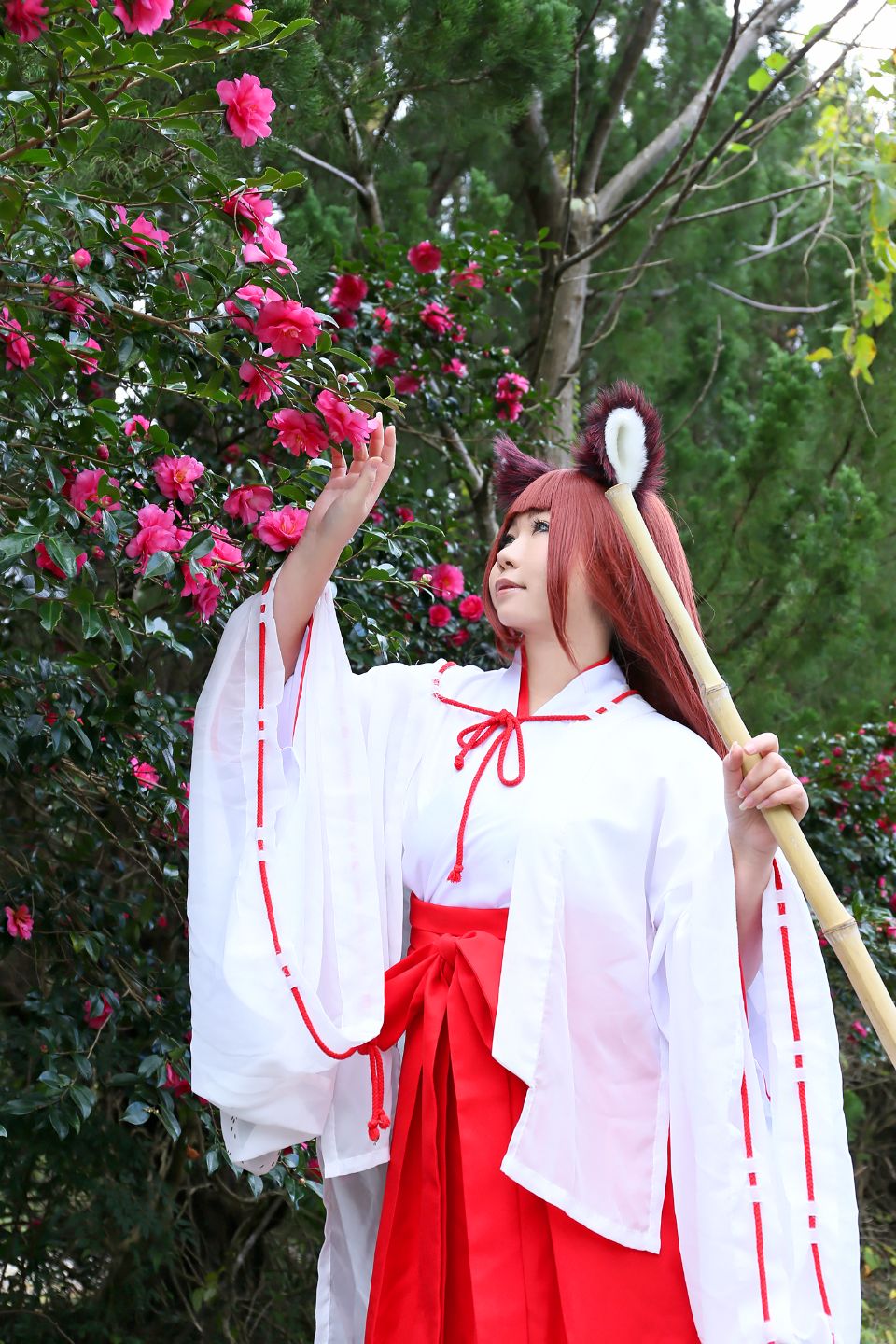 Fox Club thế hệ 2