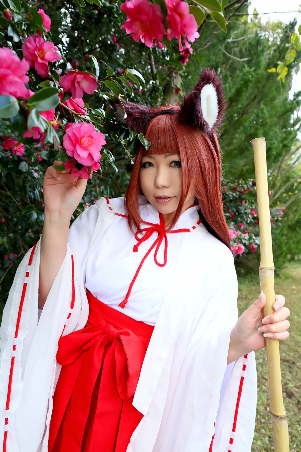 Fox Club thế hệ 2