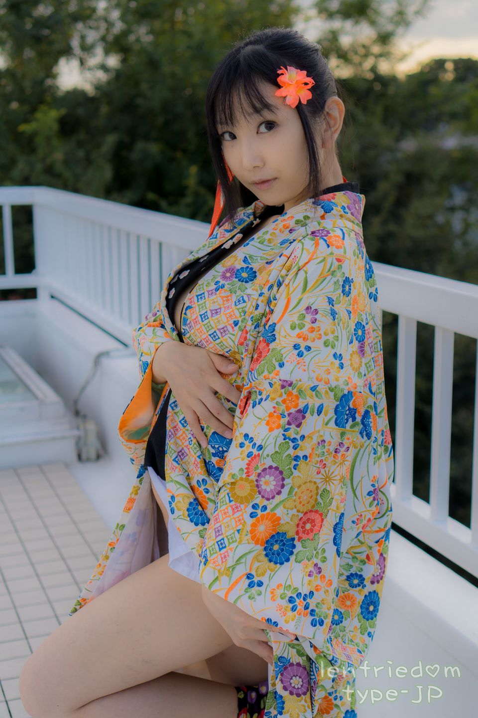 (C87) [Heru3 (Lenfried)] Lenfriedom!