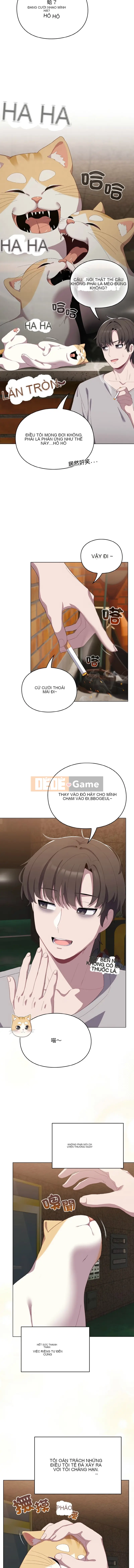 Tình yêu của Mow Chương 1-5