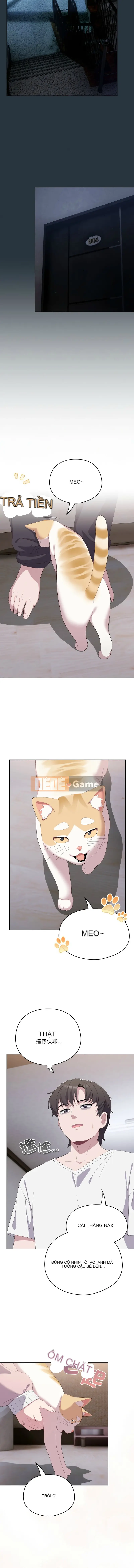 Tình yêu của Mow Chương 1-5