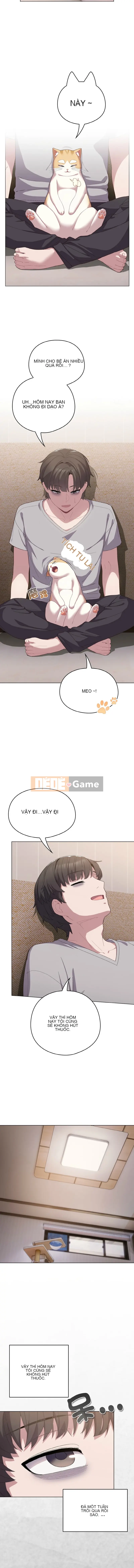 Tình yêu của Mow Chương 1-5