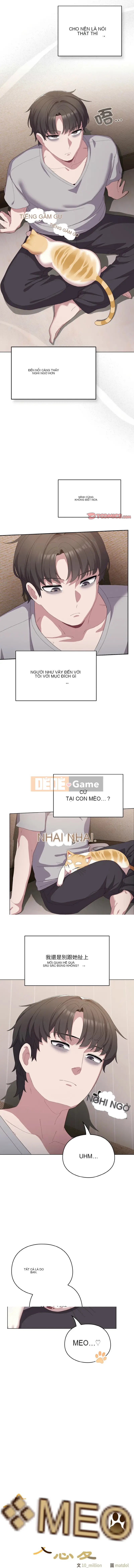 Tình yêu của Mow Chương 1-5