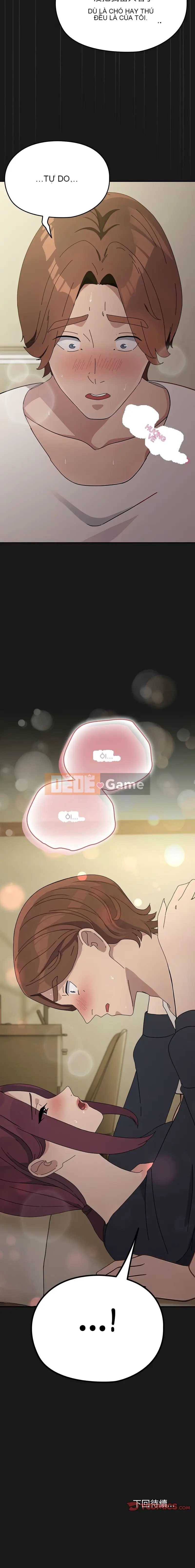 Con rể của tôi Chương 80-81