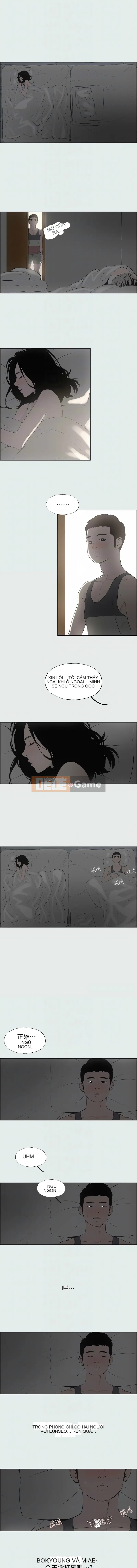 Dream of Summer Nights (phiên bản không mã hóa) Chương 1-24