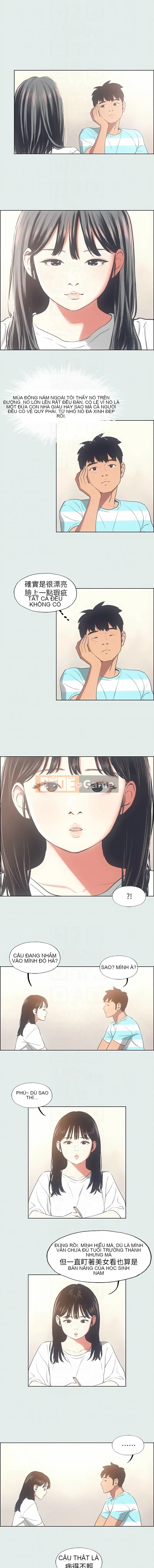 Dream of Summer Nights (phiên bản không mã hóa) Chương 1-24