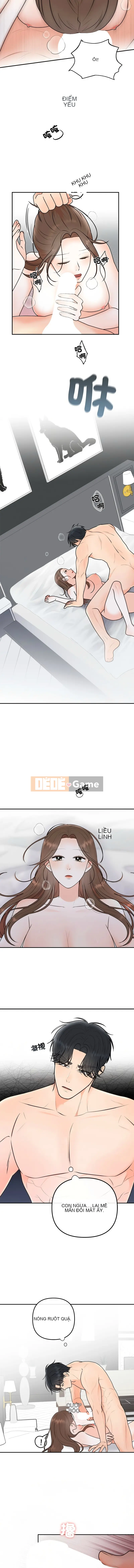 Sự ràng buộc hôn nhân Chương 20-21