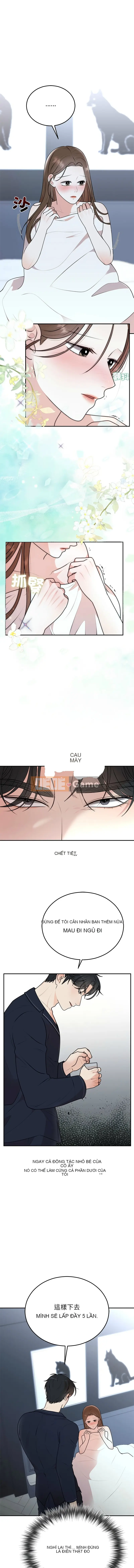 Sự ràng buộc hôn nhân Chương 22-23