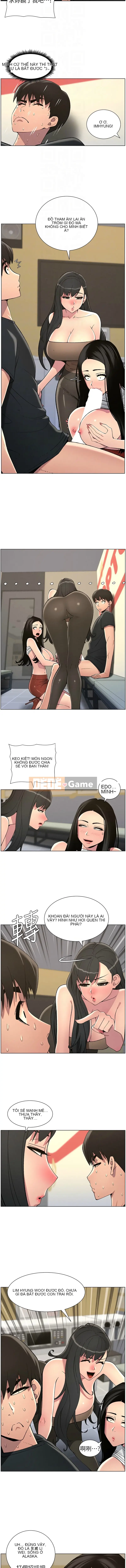 Bài học bí mật của anh chị em Chương 48-49