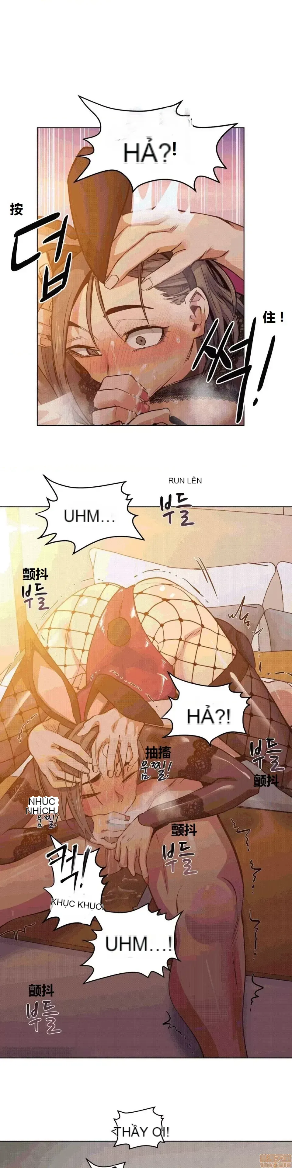 Người đàn ông may mắn Chương 1-71