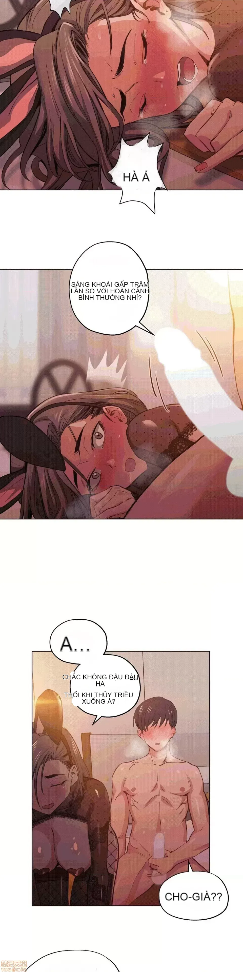 Người đàn ông may mắn Chương 1-71