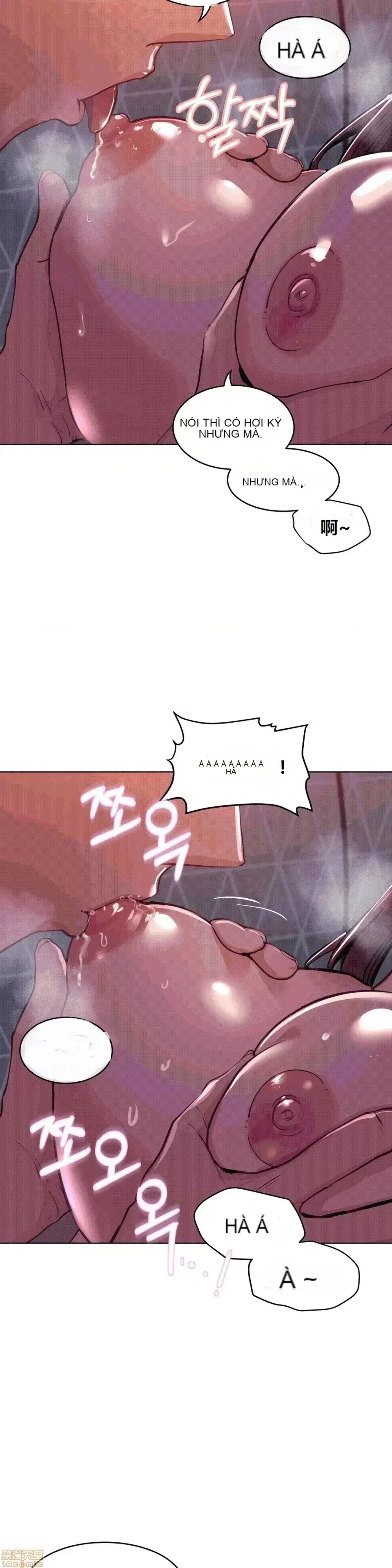 Người đàn ông may mắn Chương 1-71