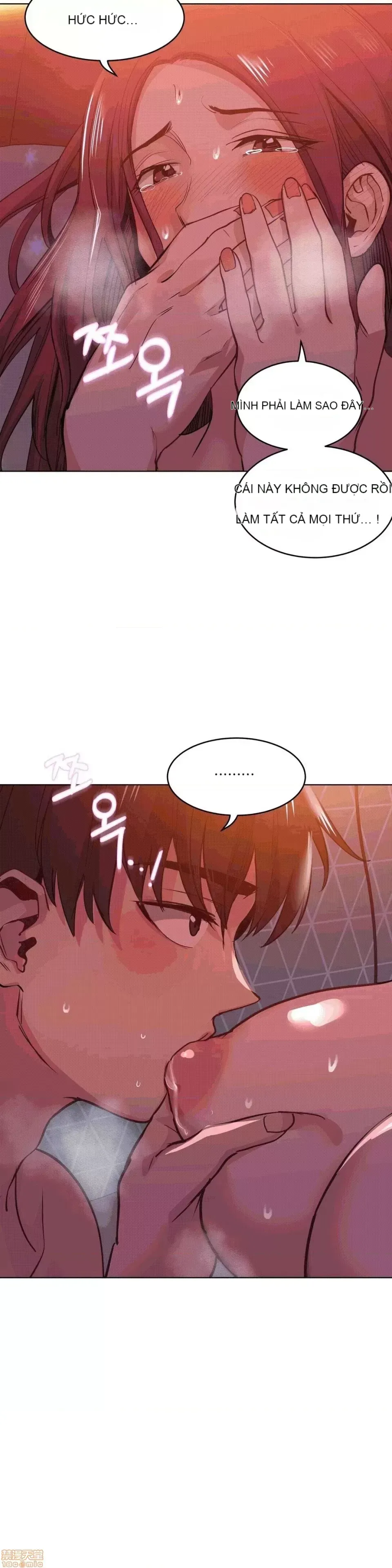 Người đàn ông may mắn Chương 1-71