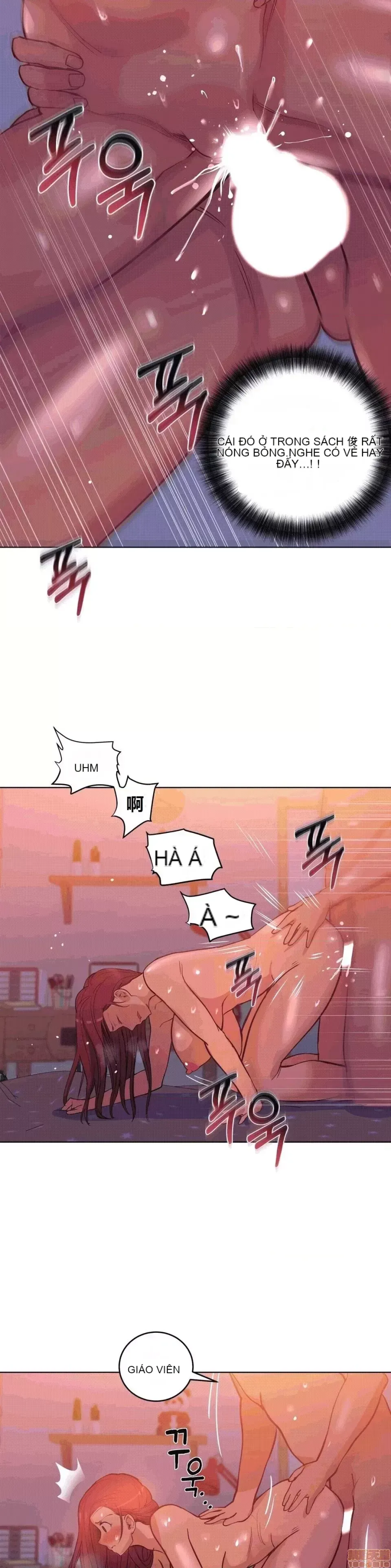 Người đàn ông may mắn Chương 1-71