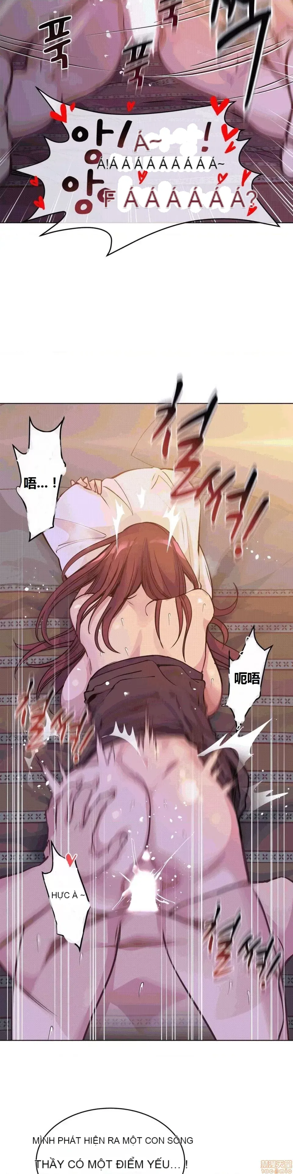 Người đàn ông may mắn Chương 1-71