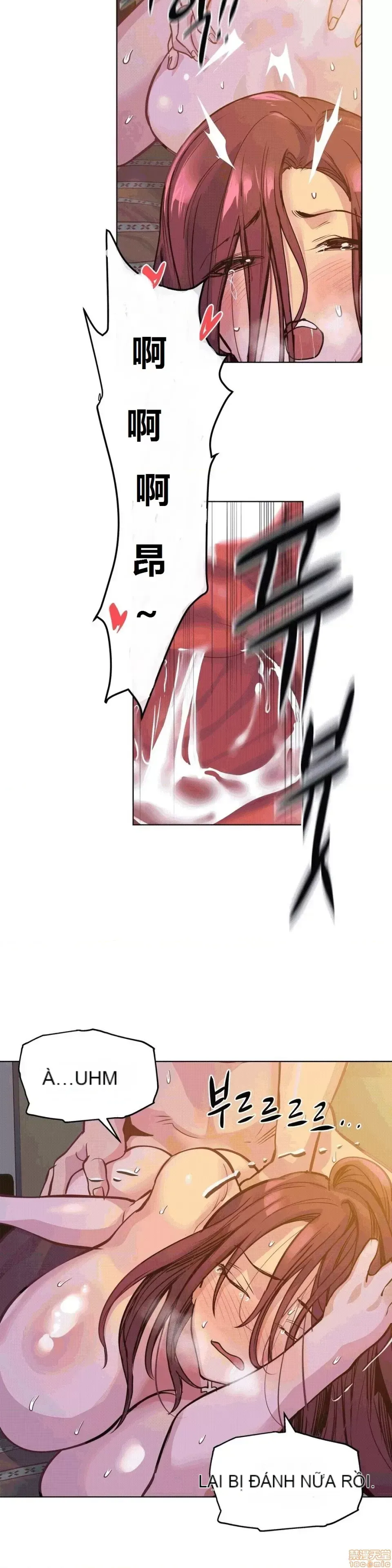 Người đàn ông may mắn Chương 1-71