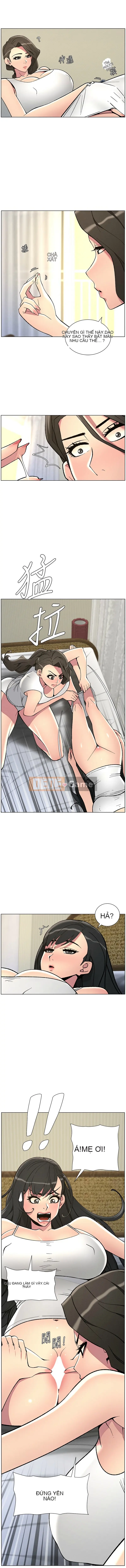 Bài học bí mật của anh chị em Chương 50-51